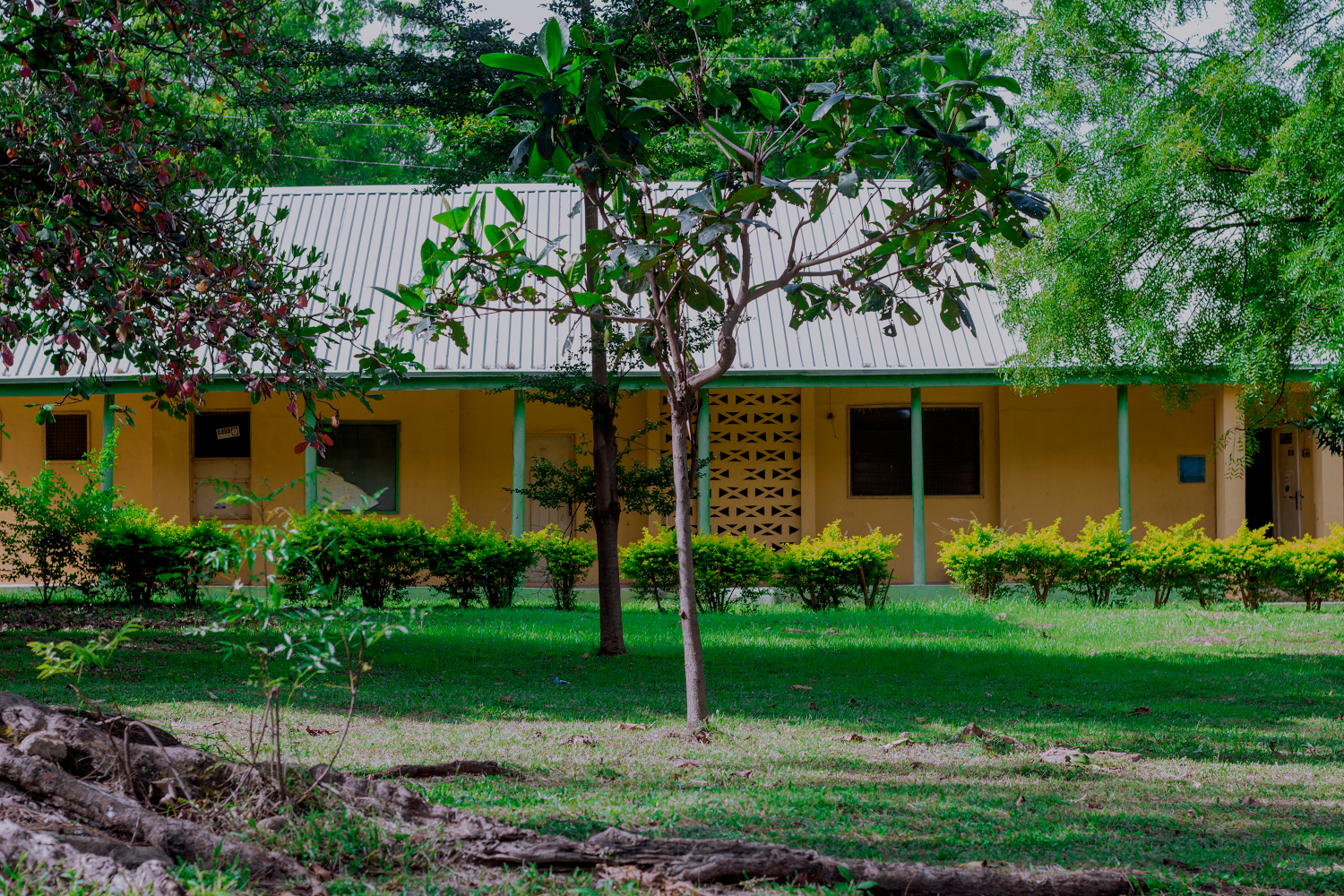 kawo-campus-ibrahim-danin-library-building